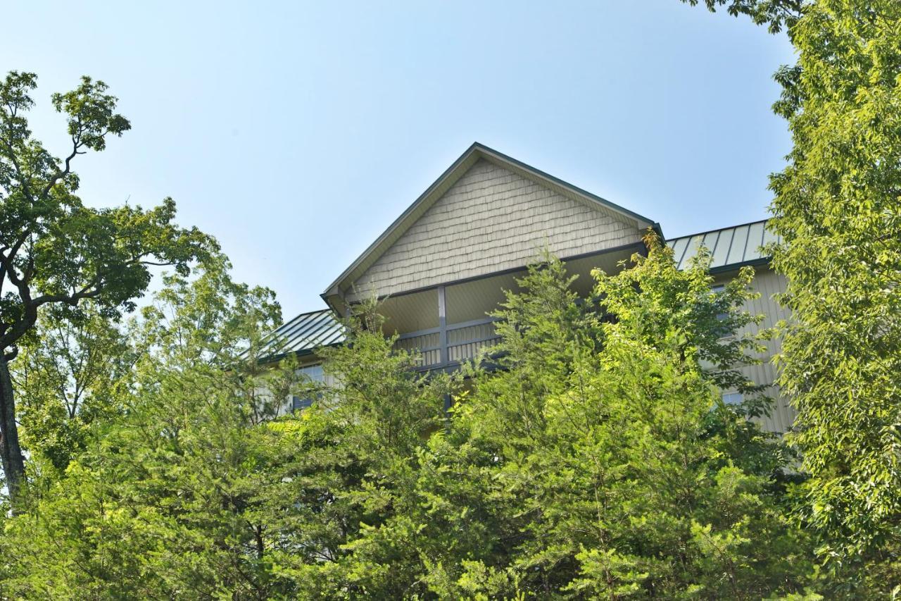 Pinnacle View 7A ピジョンフォージ エクステリア 写真